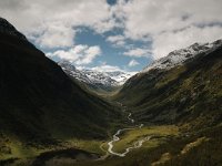 CH, Graubuenden, Zernez, Susasca Fluelapass 4, Saxifraga-Bas Klaver